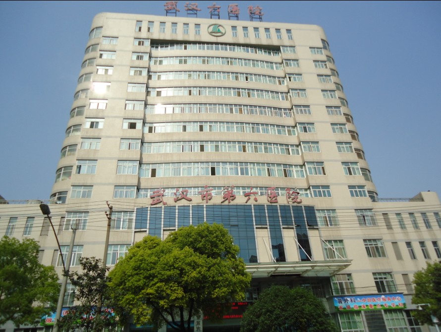 武汉市六医院